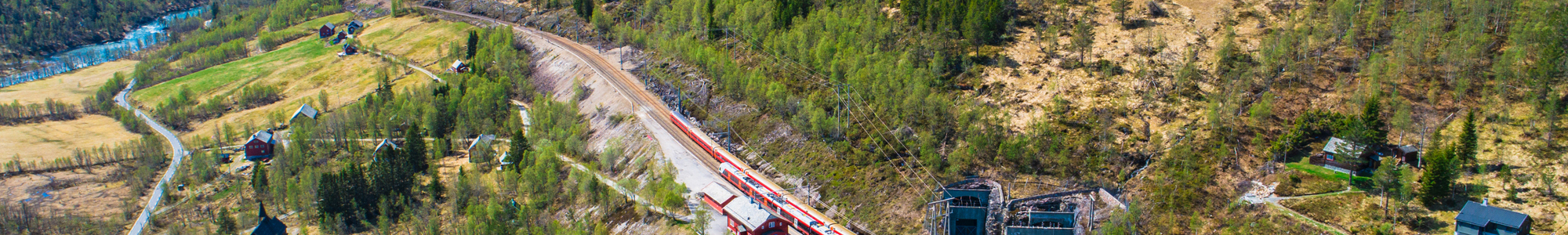 Bergensbanen 3